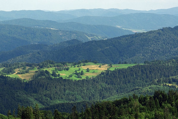 polanypohoryzont